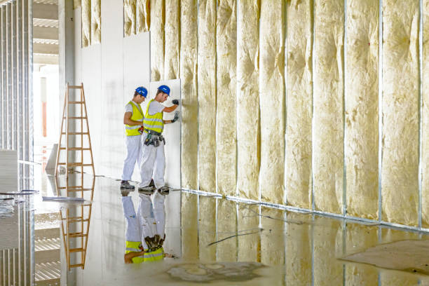 Types of Insulation We Offer in Tarboro, NC